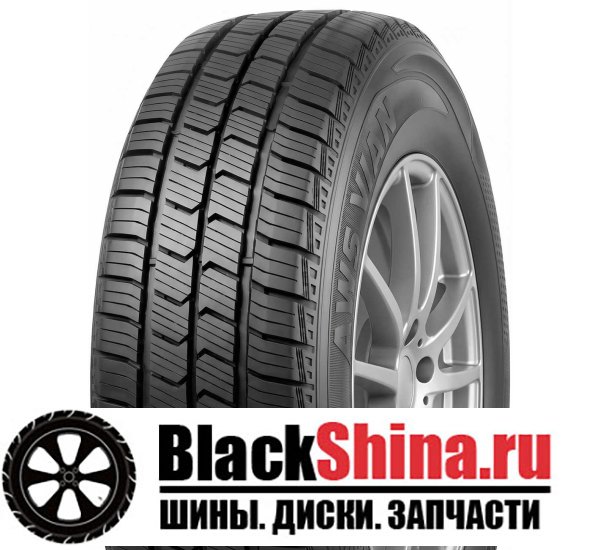 DELINTE AW5 VAN 215/70 R15C